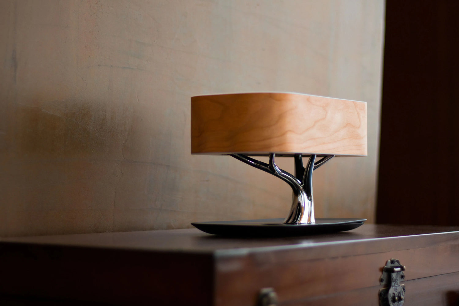 Lights & Unique Lamps